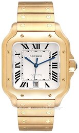Cartier Santos De Cartier WGSA0029