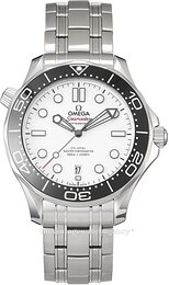 Omega Seamaster Diver 300M 210.30.42.20.04.001